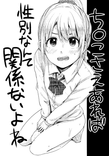 Chinko Sae Areba Seibetsu Nante Kankeinai yo ne cover