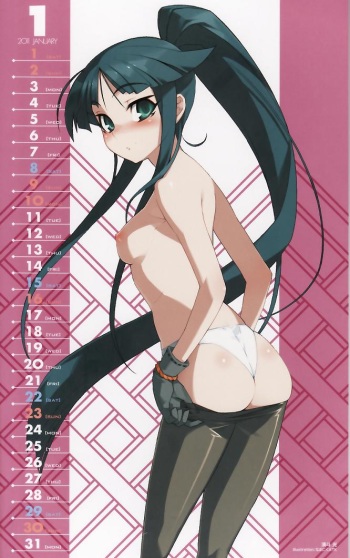 Pool Soukou Akki Muramasa 2010-2011 Calendar cover