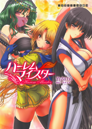 Harem Meister cover