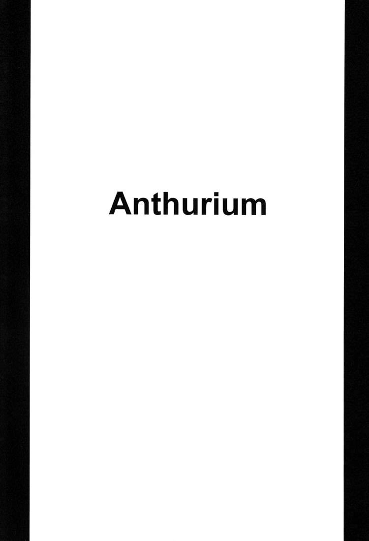 Anthurium page 2 full