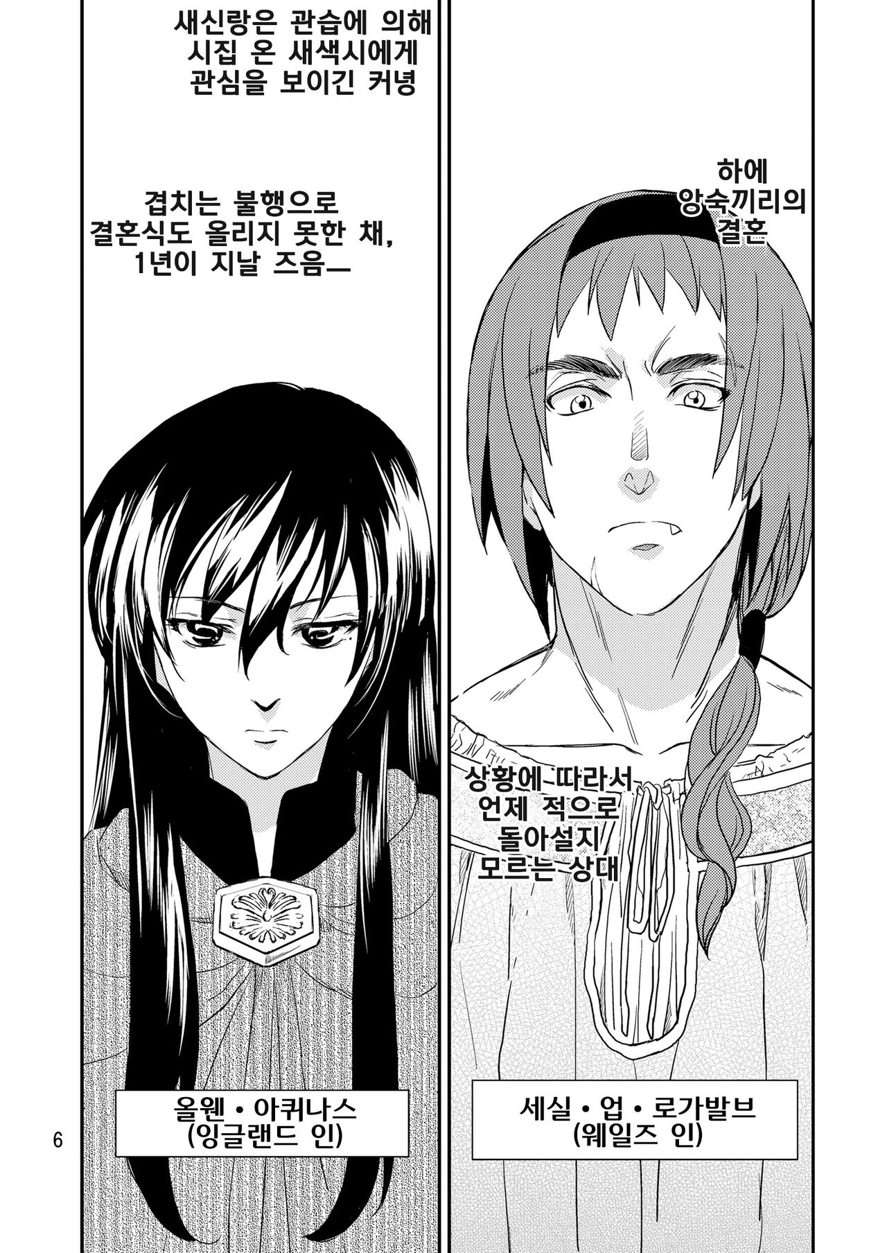 Saint Foire Festival/eve Nest page 7 full
