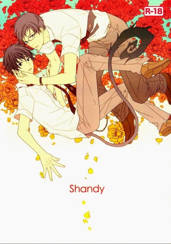 Shandy cover