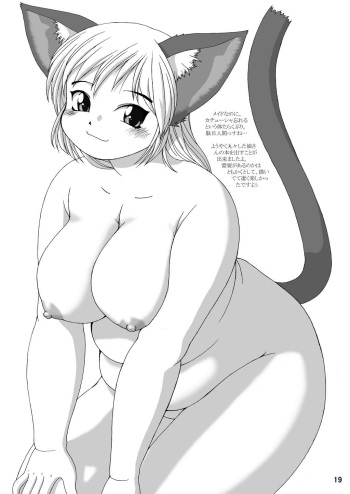 BBW cover