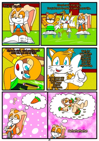 The Homework cover