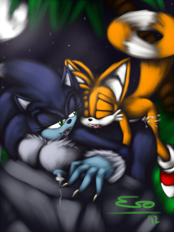 Sonic the Werehog cover