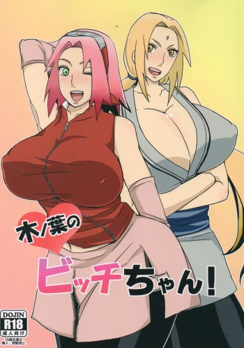 Konoha no Bitch-chan! cover