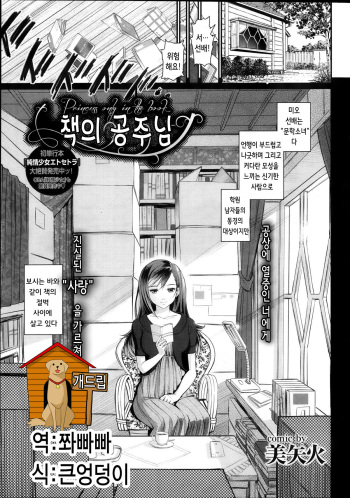 Hon no Himegimi - Princess only in the Book | 책의 공주님 cover