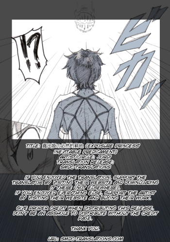 Roshutsu Hime no Hitsuzenteki Kyuuchi  | Exposure Princess's Inevitable Predicament cover