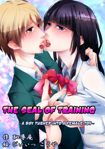 Choukyou no Kokuin ~Joseika Omocha ni Sareta Seinen~ | The Seal of Training - A Boy turned into a Female Toy cover