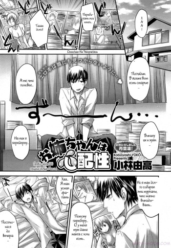 Oneechan wa Shinpaishou cover