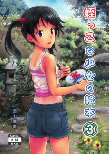 Meikko na Syoujo no Ehon 3 cover