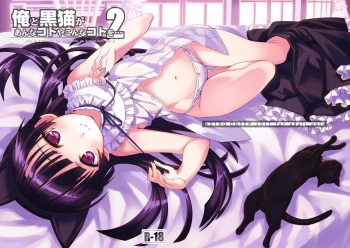 Ore to Kuroneko ga Anna Koto ya Konna Koto wo…2 cover