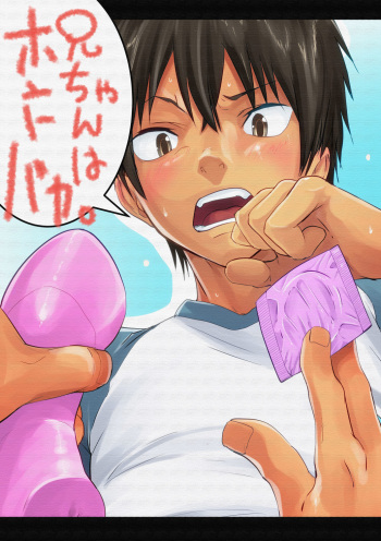 Nii-chan wa Honto Baka. cover