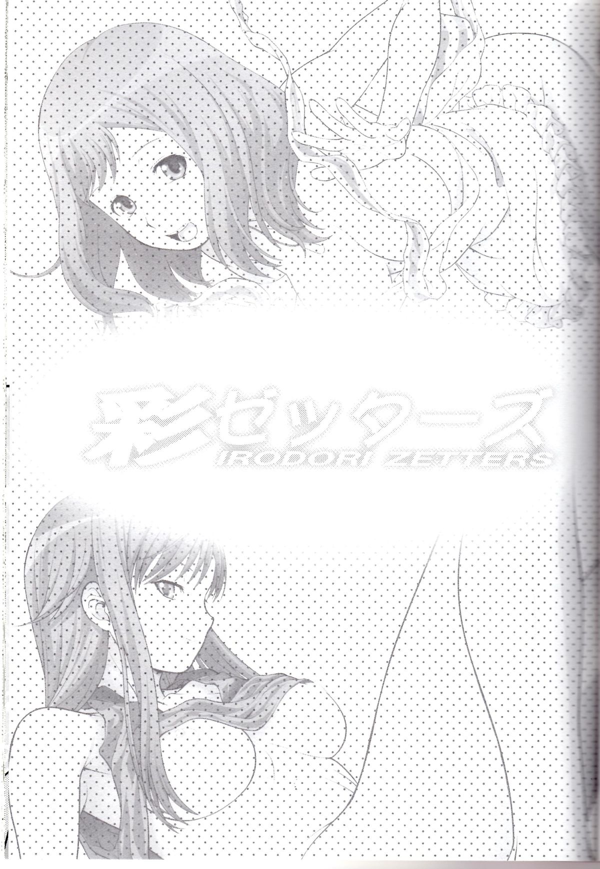 Irodori Zetters page 2 full