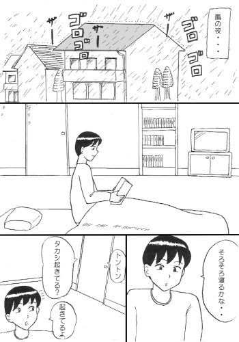 Arashi no Yoru ni cover