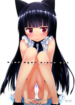 Nyan Nyan Black Cat