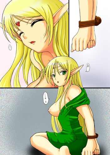 Record of Lodoss War ~Heroine Insult Collection~ cover