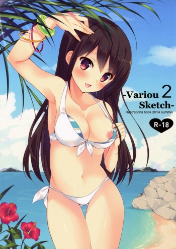 VariouSketch 2 cover
