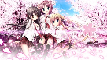 Sakura, Sakimashita cover