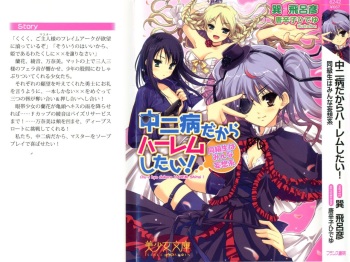 Chu-2 byo dakara HAREM shitai !：Doukyuusei wa Minna Mousou Kei cover