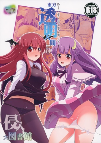 Touhou Toumei Ningen 5 Shinnyuu Daitosyokan cover