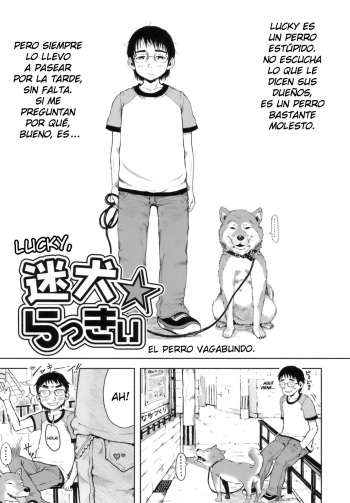 Mayo Inu Lucky | Lucky, el perro vagabundo. cover