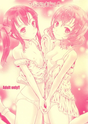 Honto wa Nita Mono Doushi!! cover
