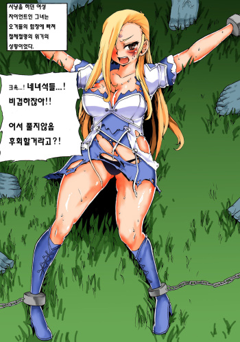 マビノギ ERO!!! cover