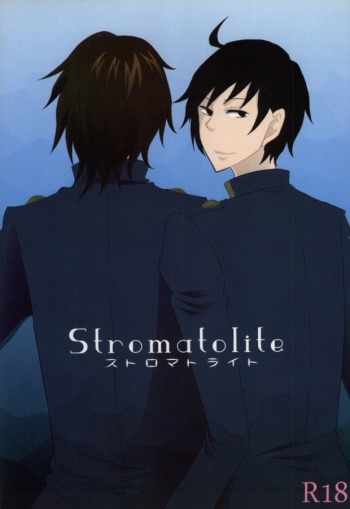 Stromatolite cover