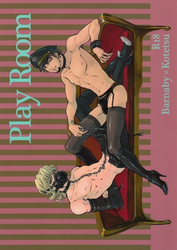 Play Room cover