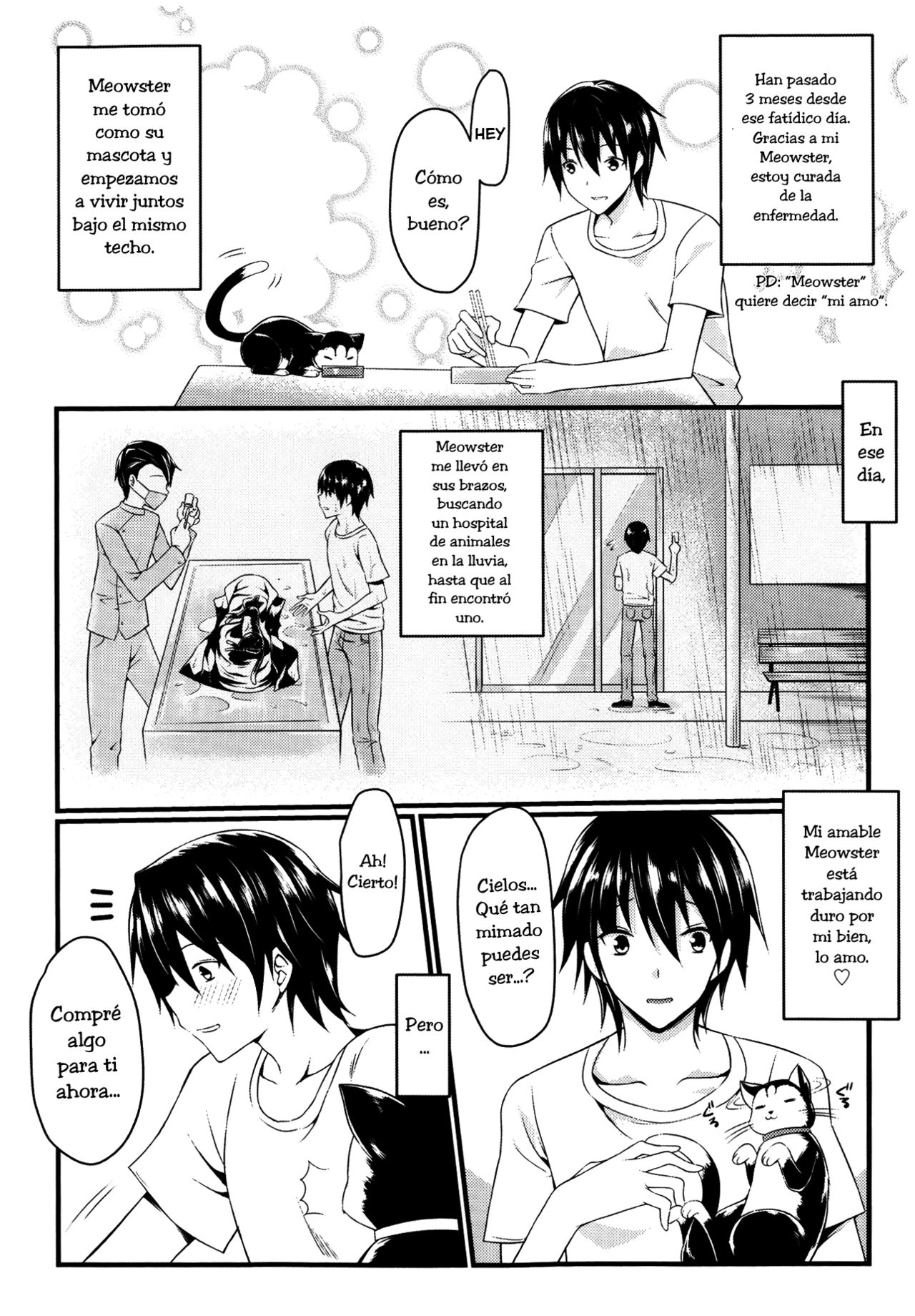 CatWooOman ~ Neko to Anata no Monogatari ~ page 4 full