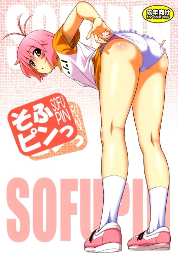 Sofu Pin cover