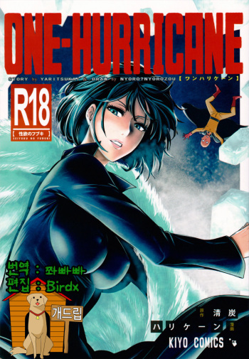 ONE-HURRICANE cover
