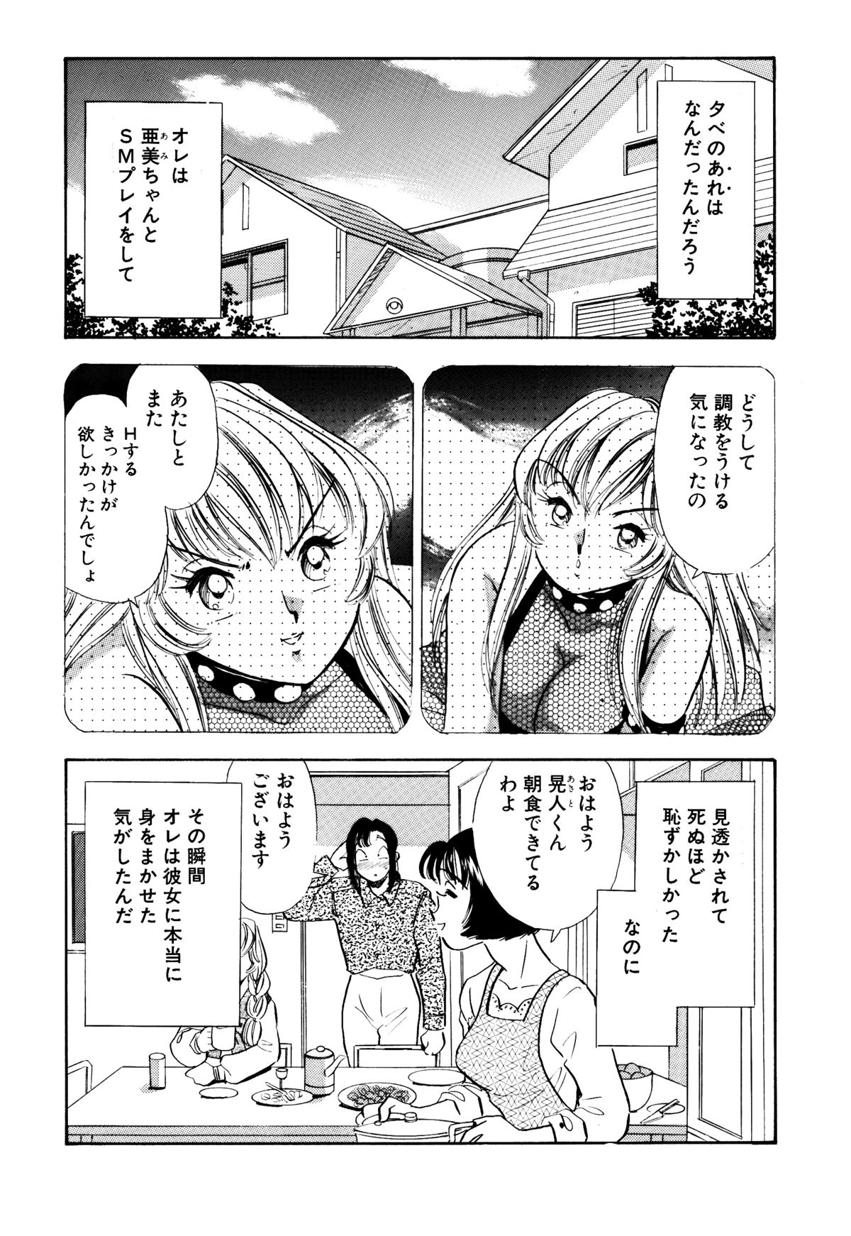 S&amp;M Junkie 10 - Shame Play page 3 full