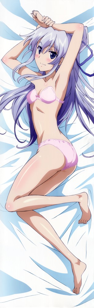 Campione dakimakura page 10 full