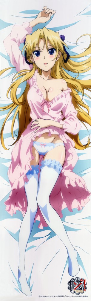 Campione dakimakura page 2 full