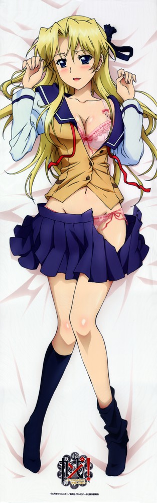 Campione dakimakura page 4 full