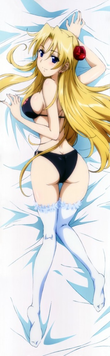 Campione dakimakura cover
