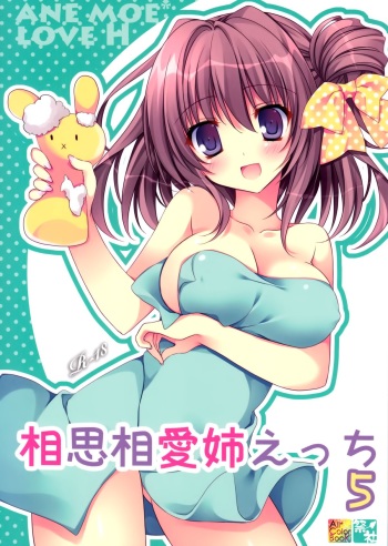 Soushisouai Ane Ecchi 5 cover