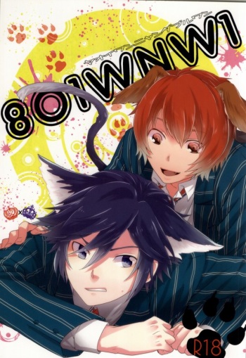 801WNW1 cover