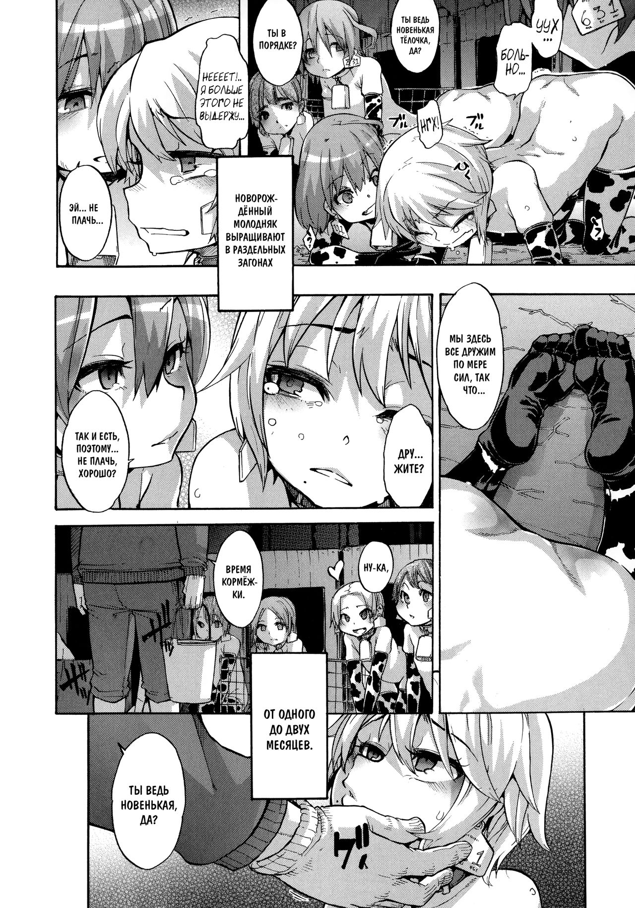 a Nyuugyuu life | a dairy cow's life page 6 full