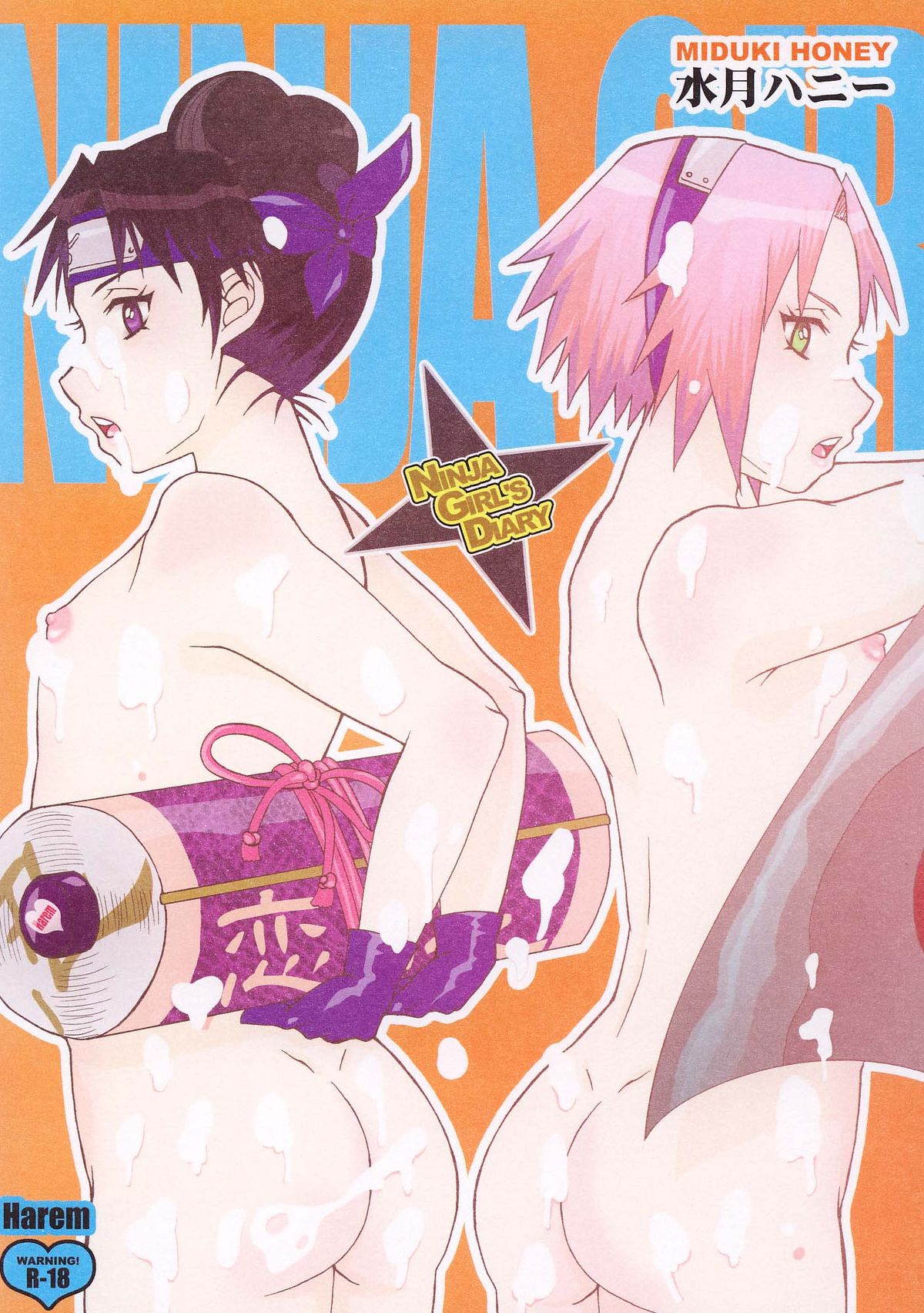 Ninja Girl's Diary page 1 full