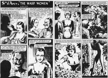 Sir Darcy and the WASP Women cover