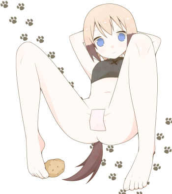 Artist - wamutatsu cover