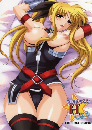 Fate-san to H Shiyou cover