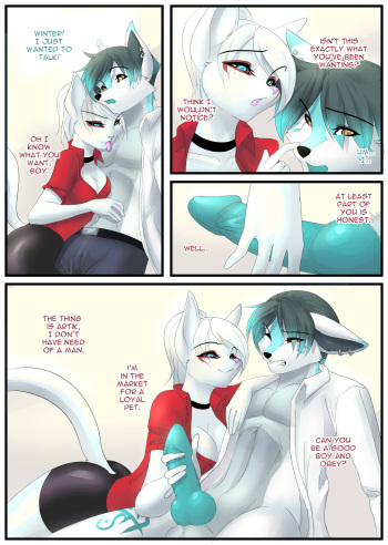 Winter_Night cover