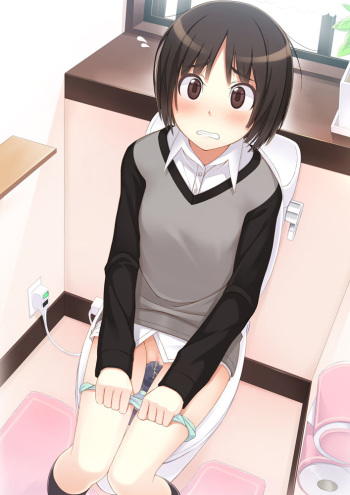 Toilet scene cover