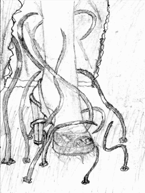 The Girl with the Curse page 6 full