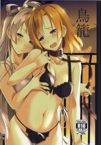 Torikago cover