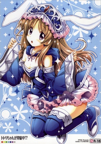 Totori-chan ga Hatsujou Chuu!? cover